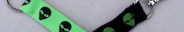 Alien key chain
