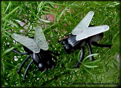 Giant Alien Flies