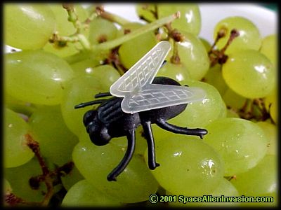 Giant Alien Flies