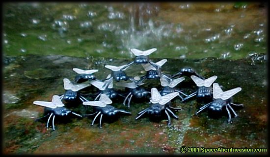 Giant Alien Flies